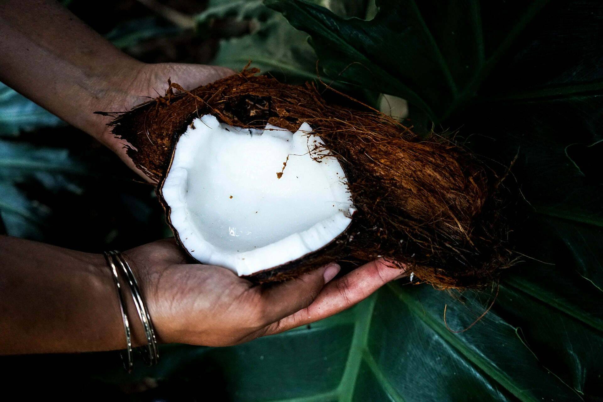 Lait de coco